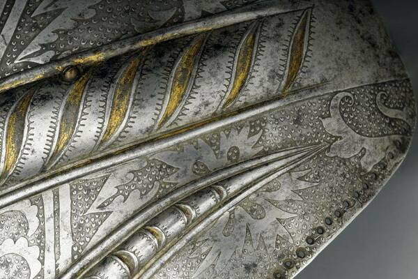 Meet the Expert: The Emperor’s New Armour image