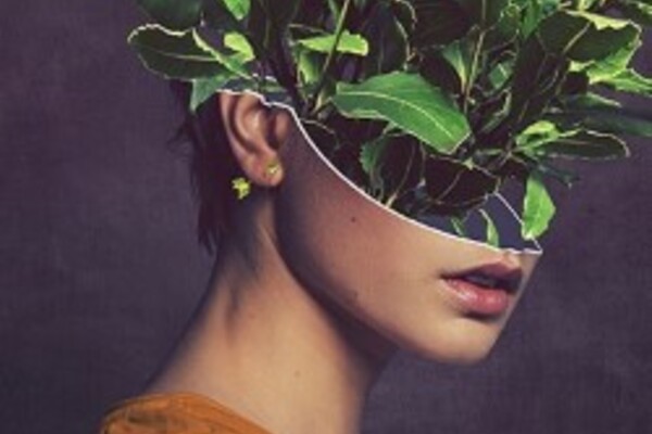 Sap image
